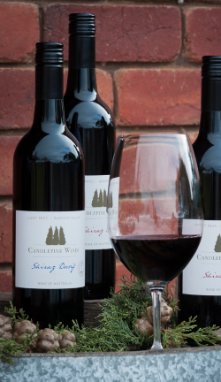 2023 Shiraz Durif - Village Red No.9